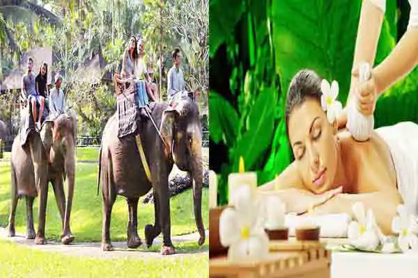elephant ride spa tour